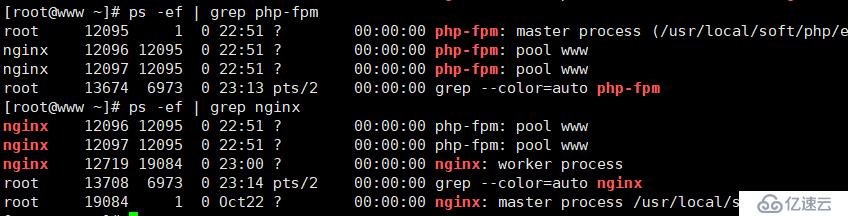 nginx中出现nginx file not found错误怎么办