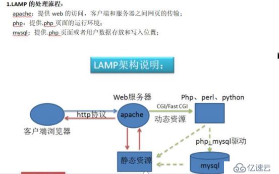 初建LAMP架构、搭建论坛