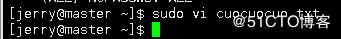 当sudo用户偶遇上VI/VIM发生了什么?(sudo+vi/vim=root)藏在你身后的ROOT