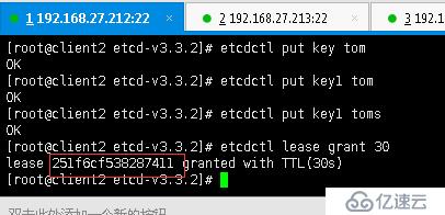 分布式鍵值高可用存儲集群架構(gòu)搭建（ETCD)