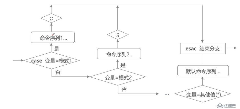 Shell编程之case多分支语句、循环语句（for、while等）、Shell函数、Shell数组