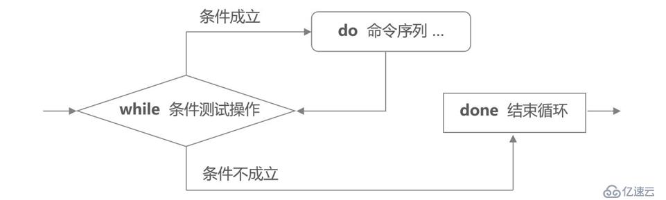 Shell编程之case多分支语句、循环语句（for、while等）、Shell函数、Shell数组