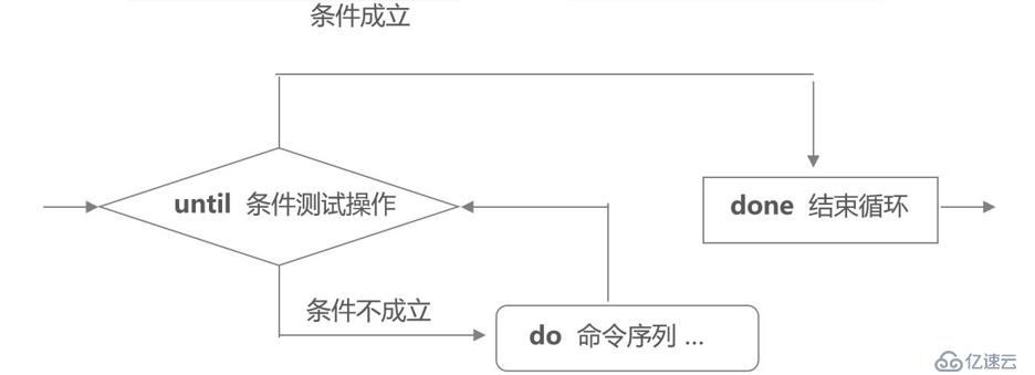 Shell编程之case多分支语句、循环语句（for、while等）、Shell函数、Shell数组