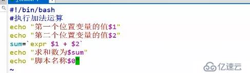 shell编程与变量——编写你的第一个shell脚本