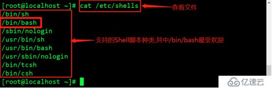 Shell脚本规范与变量