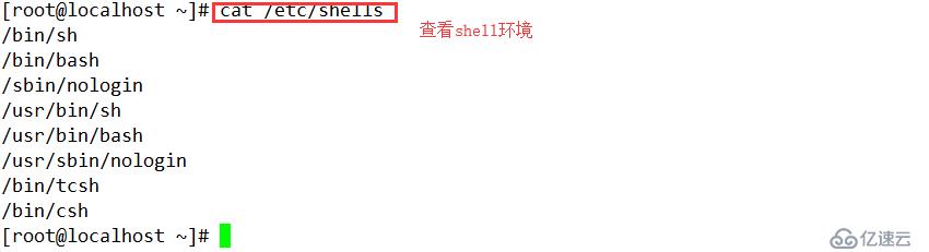 Shell编程——编程规范与变量（1）