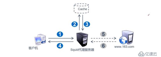 Squid缓存代理部署——传统+透明（超详细）