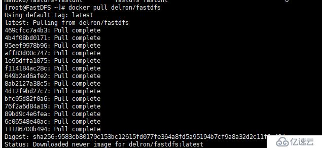 使用docker搭建FastDFS文件系统