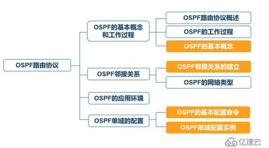 动态路由——ospf协议