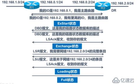 動(dòng)態(tài)路由——ospf協(xié)議