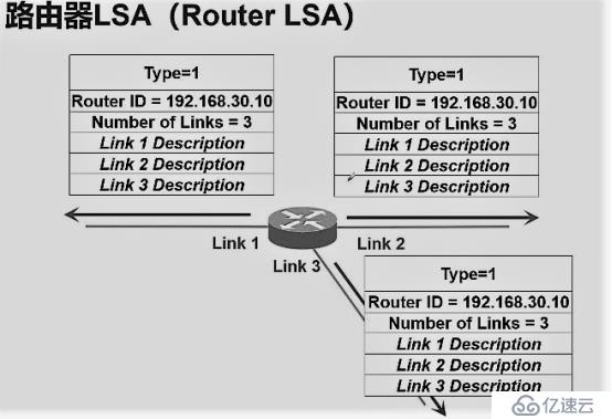 链路状态路由协议——OSPF路由协议（理论篇）