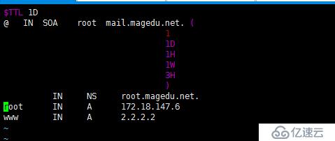 DNS正向解析 反向解析   转发   子域    智能DNS