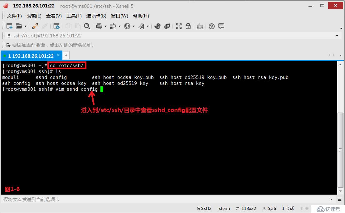 【我的Linux，我做主！】使用Apache服务部署Web论坛网站