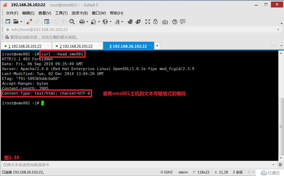 【我的Linux，我做主！】使用Apache服务部署Web论坛网站