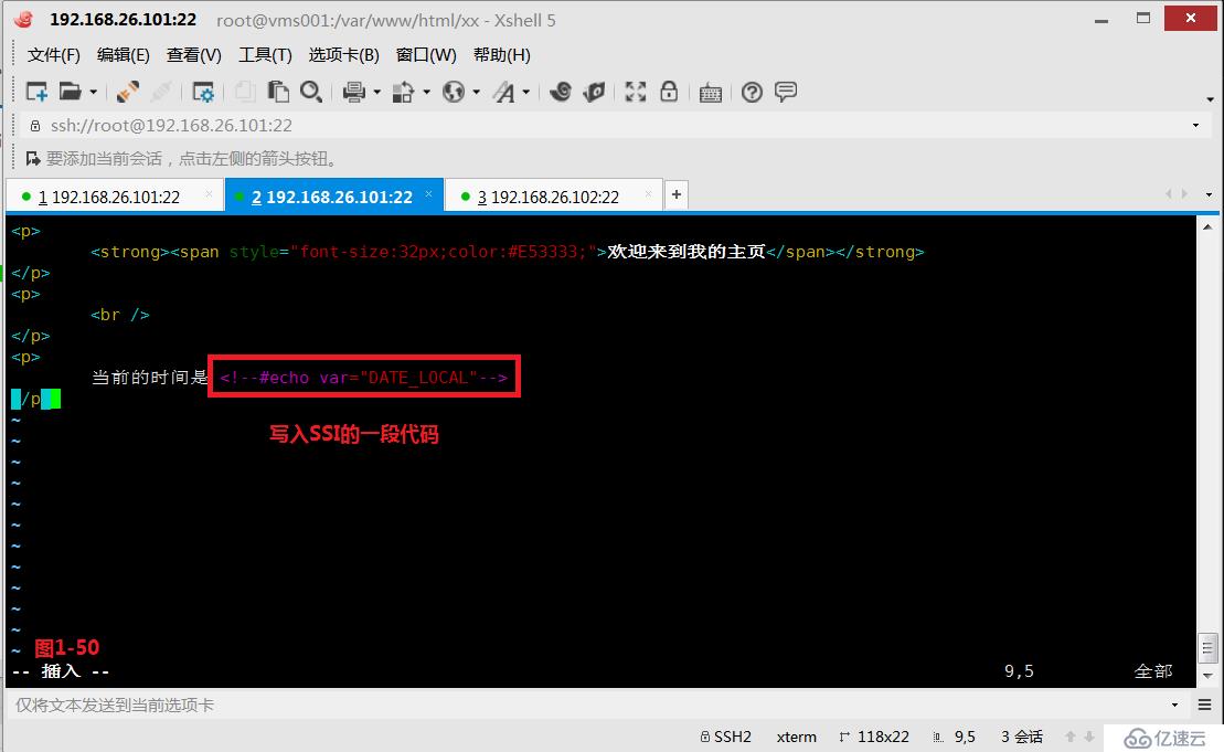 【我的Linux，我做主！】使用Apache服务部署Web论坛网站