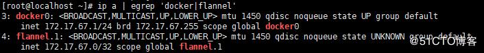 docker结合flannel网络