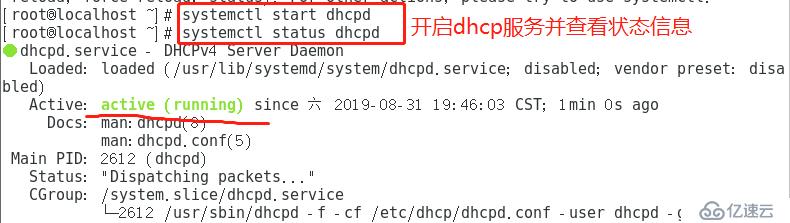 Linux搭建DHCP+DNS+WEB服务（小型项目现场！）