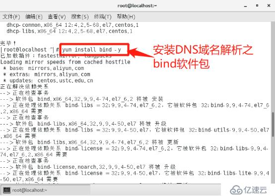 架构DHCP+DNS+WEB综合服务