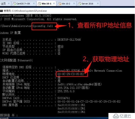 架构DHCP+DNS+WEB综合服务