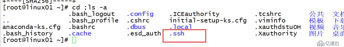 Linux的SSH服务之密钥验证登陆