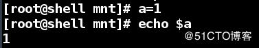 shell变量快速入门
