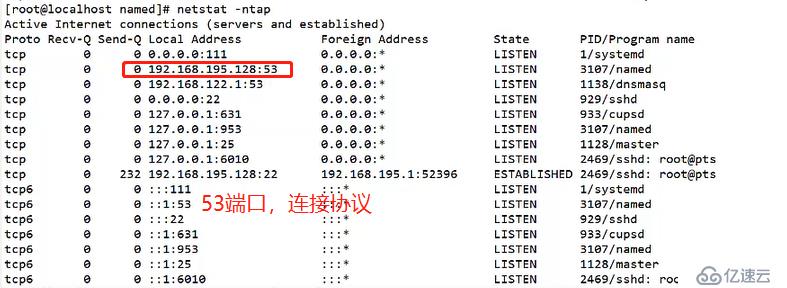 DNS服务正向、反向解析以及主从同步实操（有图有字，易做易懂）