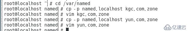 Linux服务器DNS服务搭建（正向解析、反向解析）
