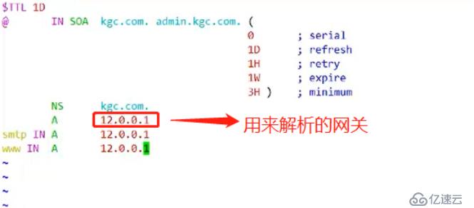 DNS分离解析全程实操，可跟做