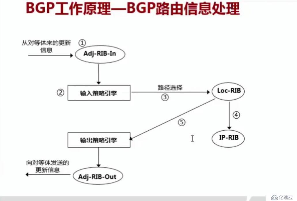 学习网络BGP必备基础知识