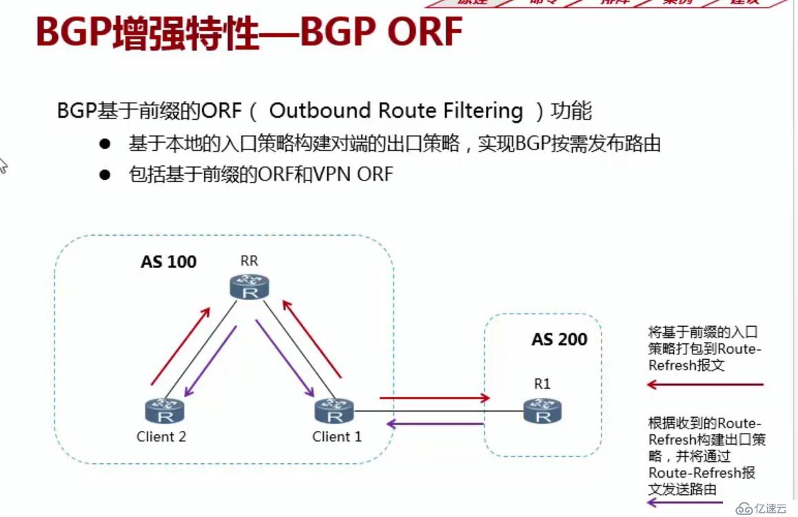 学习网络BGP必备基础知识