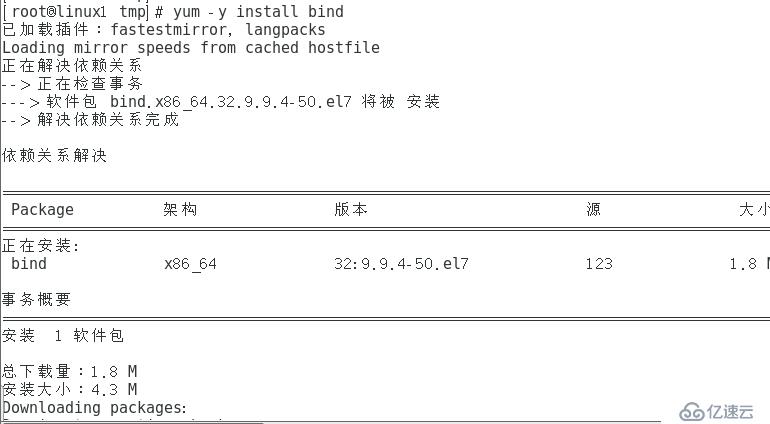 Linux搭建DNS分离解析服务