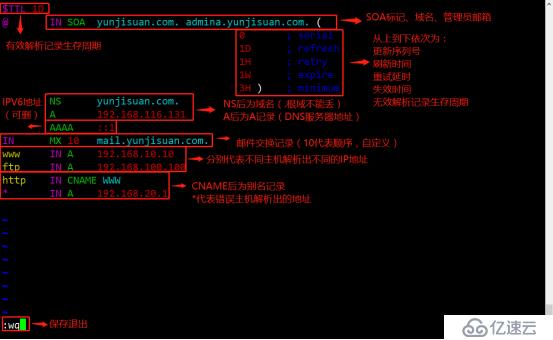 DNS服务构建全解析（多图，可全程手动跟做）