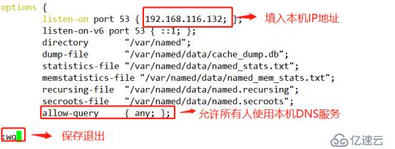 DNS服务构建全解析（多图，可全程手动跟做）