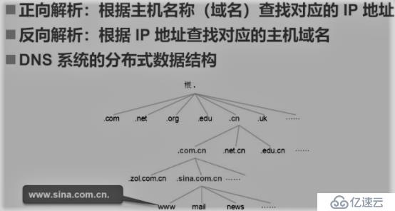 CentOS 7之DNS域名解析