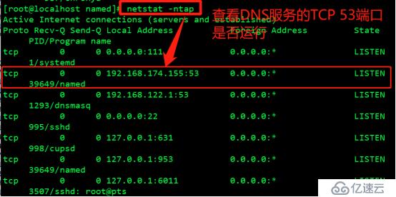 CentOS 7之DNS域名解析