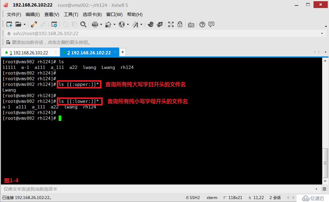 【我的Linux，我做主！】通配符和正则表达式深层解析