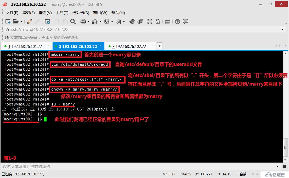 【我的Linux，我做主！】通配符和正则表达式深层解析