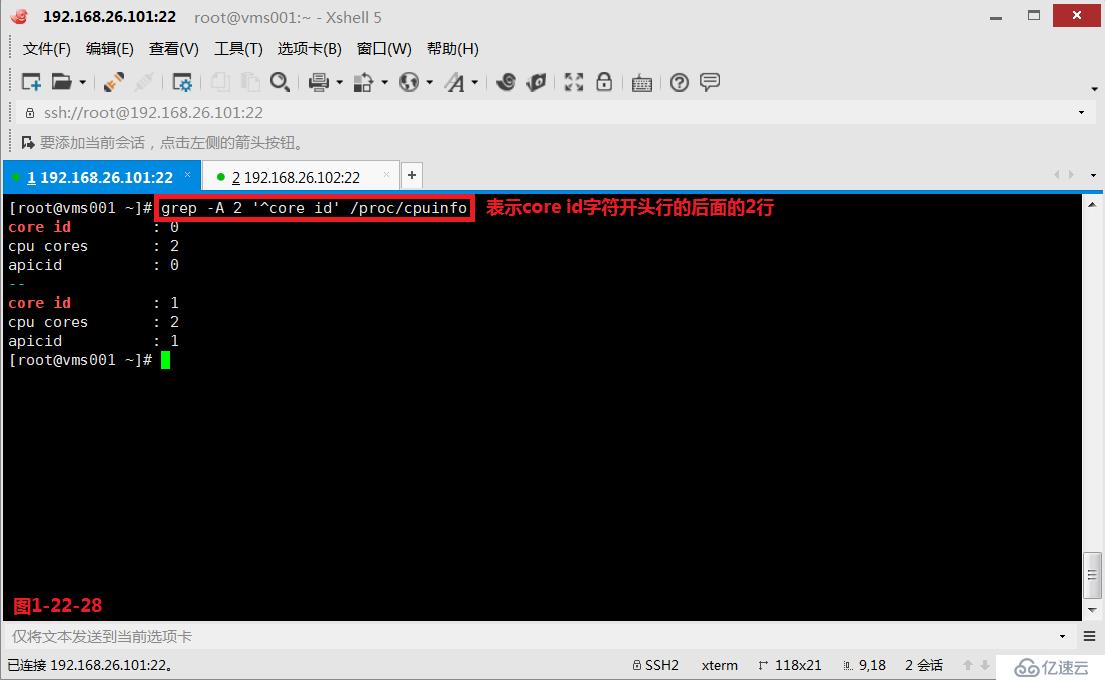 【我的Linux，我做主！】通配符和正則表達式深層解析