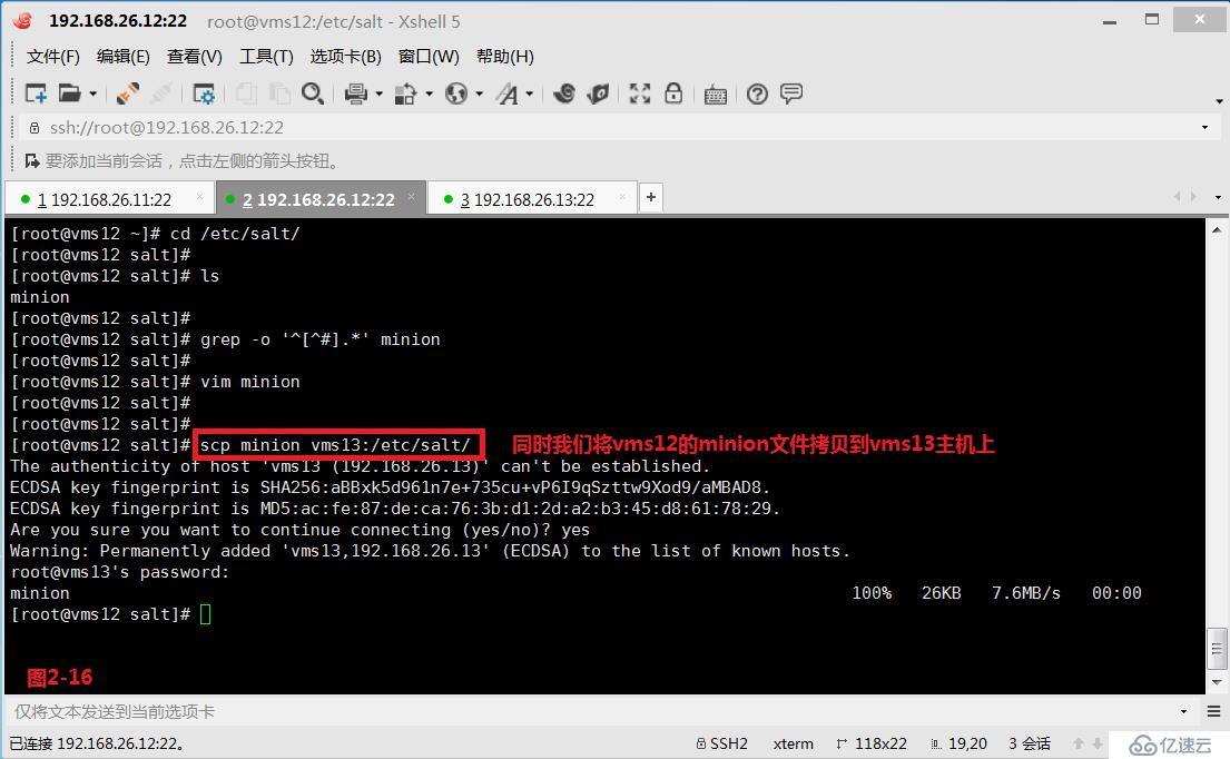 Linux中什么是自动化以及运维利器SaltStack的安装使用