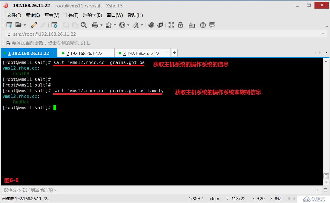 Linux中什么是自动化以及运维利器SaltStack的安装使用