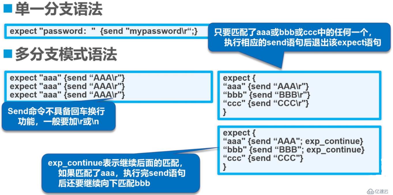 shell编程expect免交互