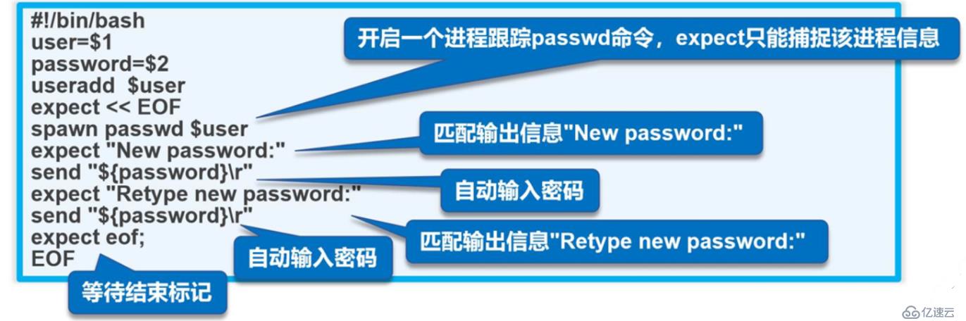 shell编程expect免交互