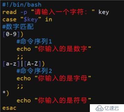 shell编程之case语句与循环语句