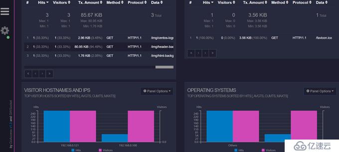 使用GoAccess实现可视化实时监控Nginx access日志