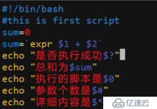 shell脚本规范与变量运用