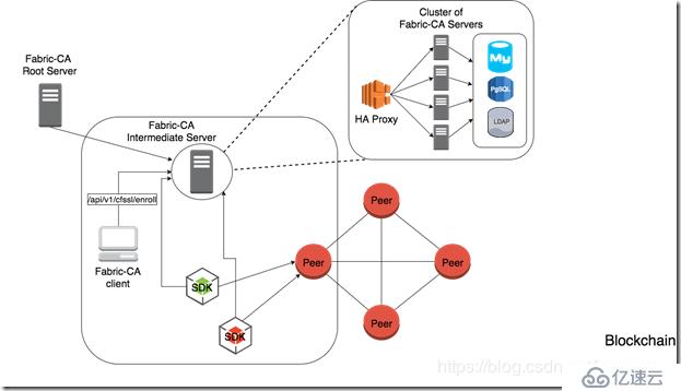 Hyperledger Fabric注册及CA证书颁发