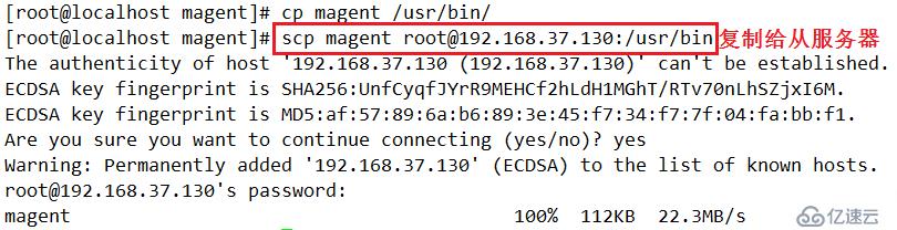 Memcached高可用群集（Memcached主主复制+Keepalived）