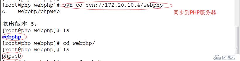 如何进行SVN客户端配置及PHP程序员代码导入