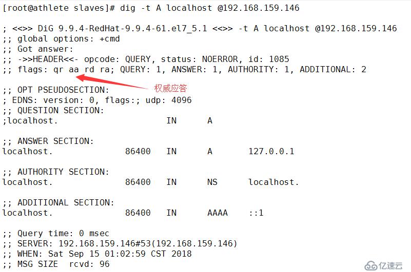 DNS 服务器--从入门到放弃