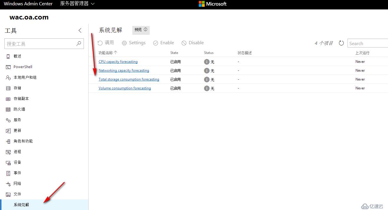 Windows Server 2019 System Insights